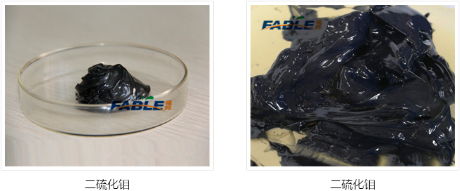 555_01.jpg 555_01.jpg